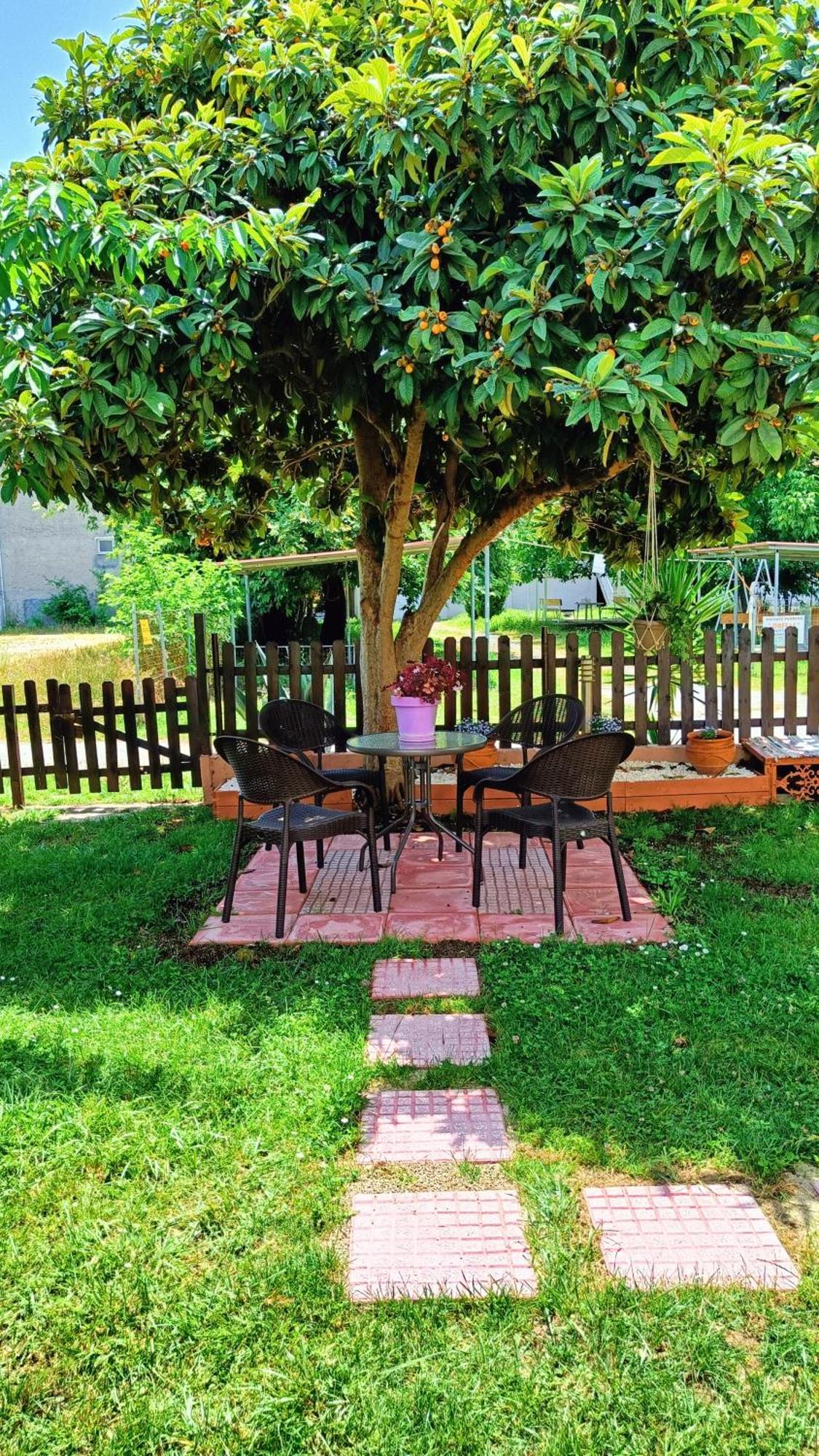 Garden House Katerina Aparthotel Leptokarya  Exterior photo